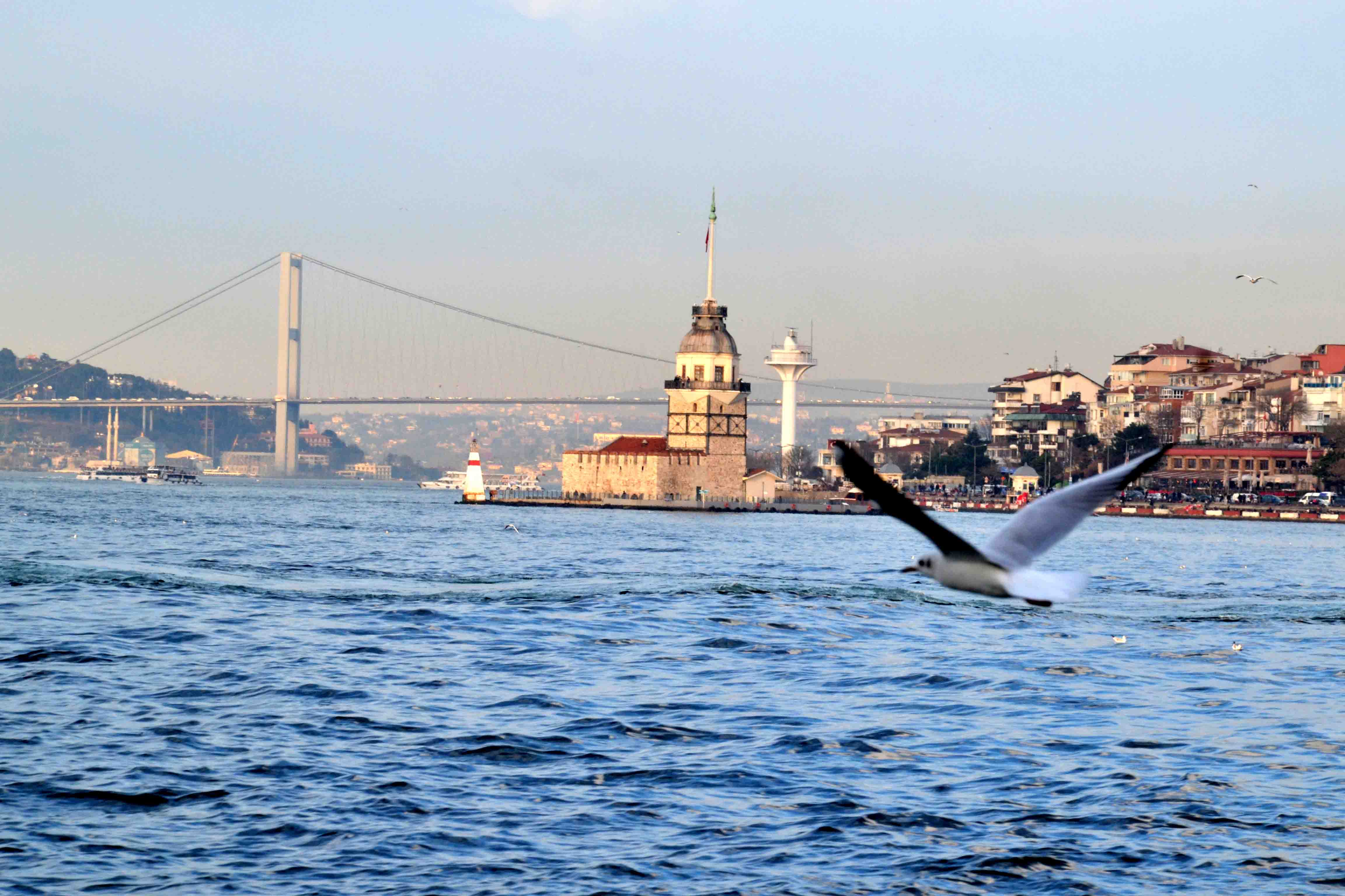 Bosphorus Cruise with Important Details